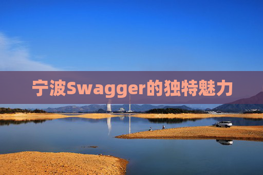 宁波Swagger的独特魅力